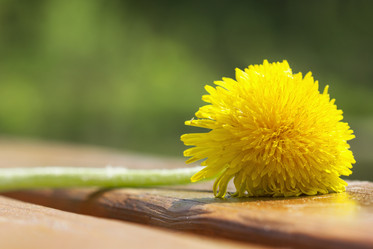 Similar image 21237314