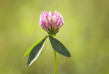 Similar image 21237315