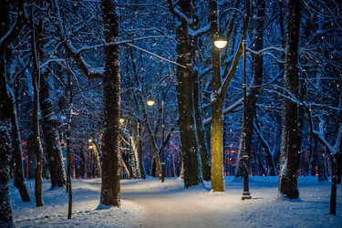 Similar image 21258502