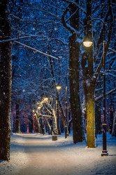 Similar image 21258503