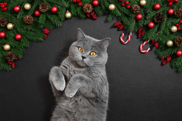 Similar image 21240830