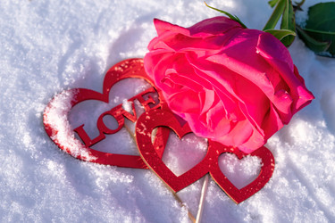 Similar image 21240861