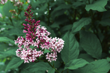 Similar image 21240862