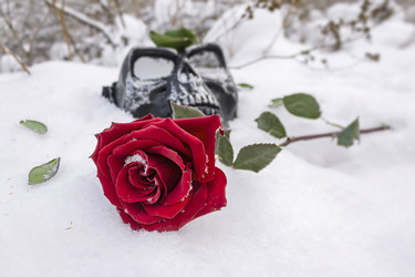 Similar image 21240869