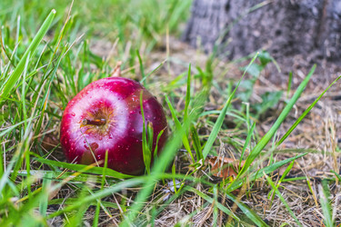 Similar image 21240892