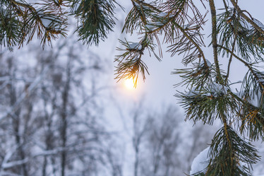 Similar image 21240900