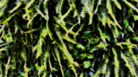 Similar image 21236711