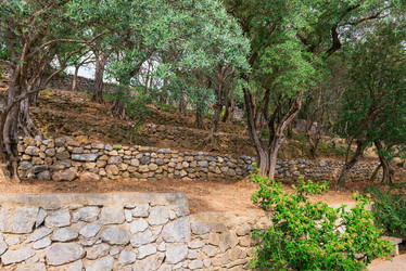 Similar image 21237318