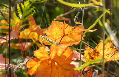 Similar image 21237320