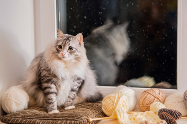 Similar image 21258504