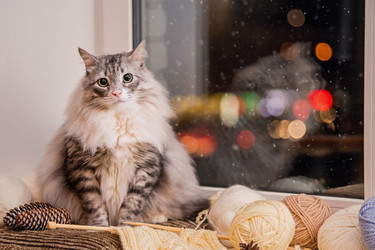 Similar image 21258508