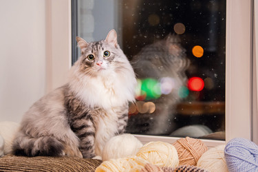 Similar image 21258509