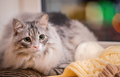 Similar image 21258510