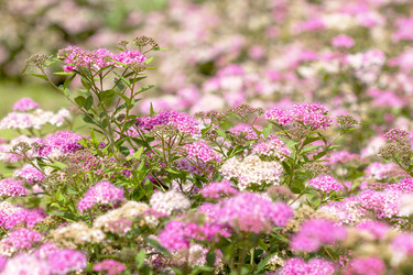 Similar image 21237321