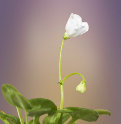 Similar image 21237322