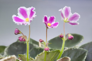 Similar image 21237324