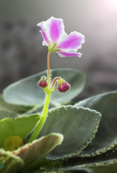 Similar image 21237325