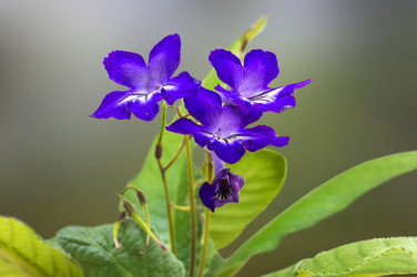 Similar image 21237326