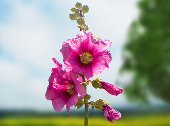 Similar image 21237327