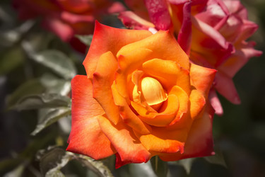 Similar image 21237329