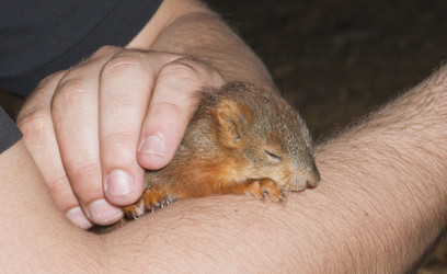 Similar image 21240179