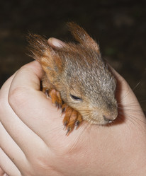 Similar image 21240180