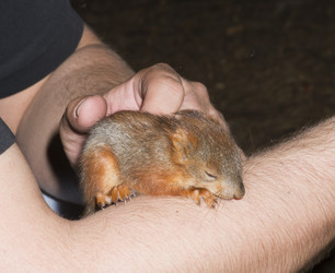 Similar image 21240181