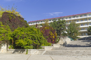 Similar image 21238769