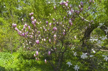 Similar image 21238771