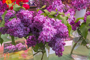 Similar image 21238772