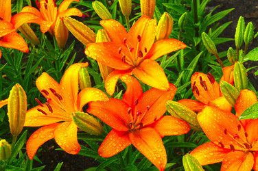 Similar image 21238773