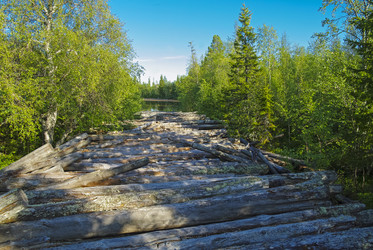 Similar image 21238775