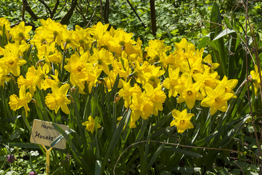 Similar image 21238777