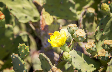 Similar image 21238684