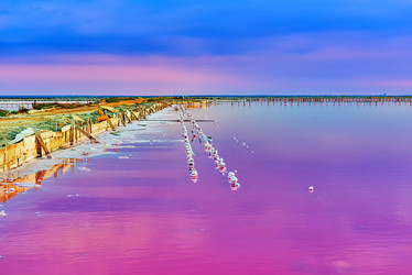 Similar image 21238899