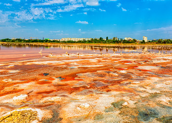 Similar image 21238905