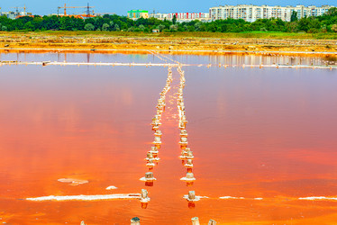 Similar image 21238906