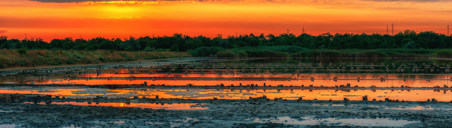 Similar image 21238907