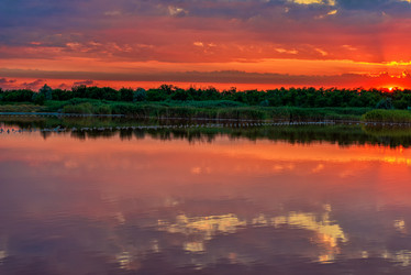 Similar image 21238922