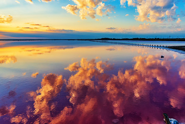 Similar image 21238926