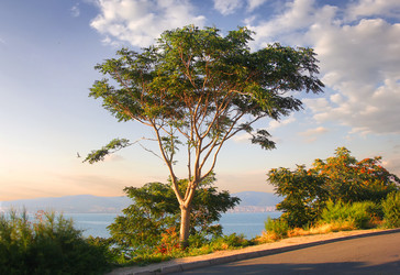 Similar image 21238696