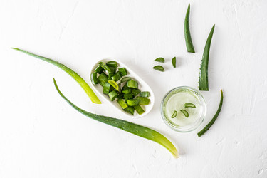 Similar image 21238955