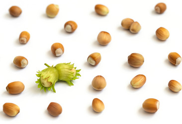 Similar image 21250761