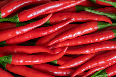 Similar image 21250856