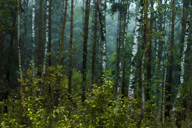 Similar image 21240519