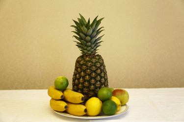 Similar image 21240188