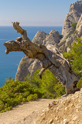 Similar image 21240289