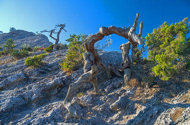 Similar image 21240290