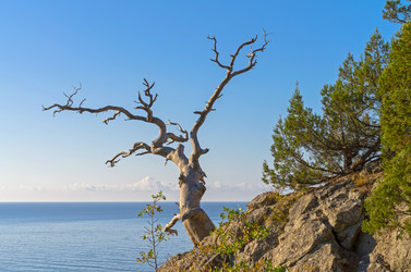 Similar image 21240291