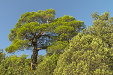 Similar image 21240292